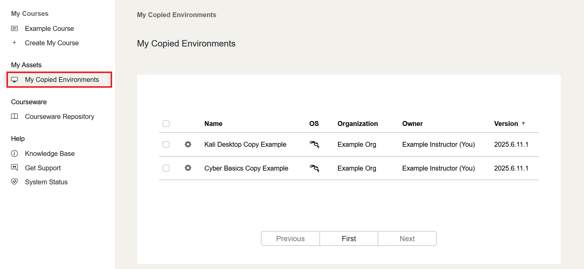 My Copied Environments is located on the left sidebar under the My Assets section.