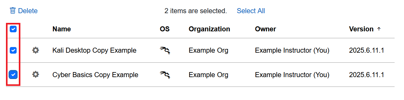 Checkboxes are the first column in the table of copied environments.
