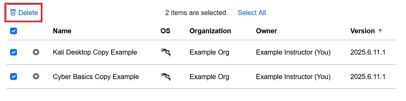 The Delete button for bulk deletion is at the top left, above the table of copied environments.