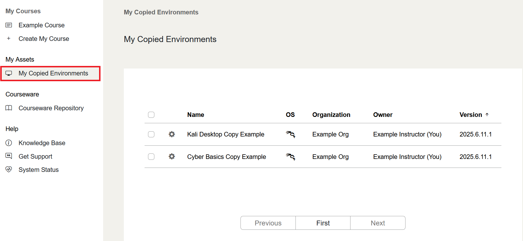 My Copied Environments is located on the left sidebar under the My Assets section.