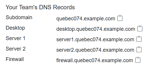 The Your Team's DNS Records” section is located under the "Status" section in the middle of the screen. In descending order, it lists the Subdomain,Desktop, Server 1, Server 2, and Firewall.